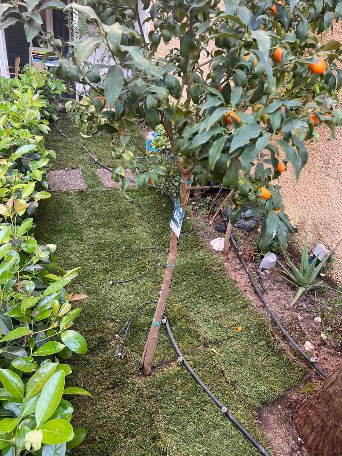 Apartmán Τhe Hidden Garden Corfu  Exteriér fotografie