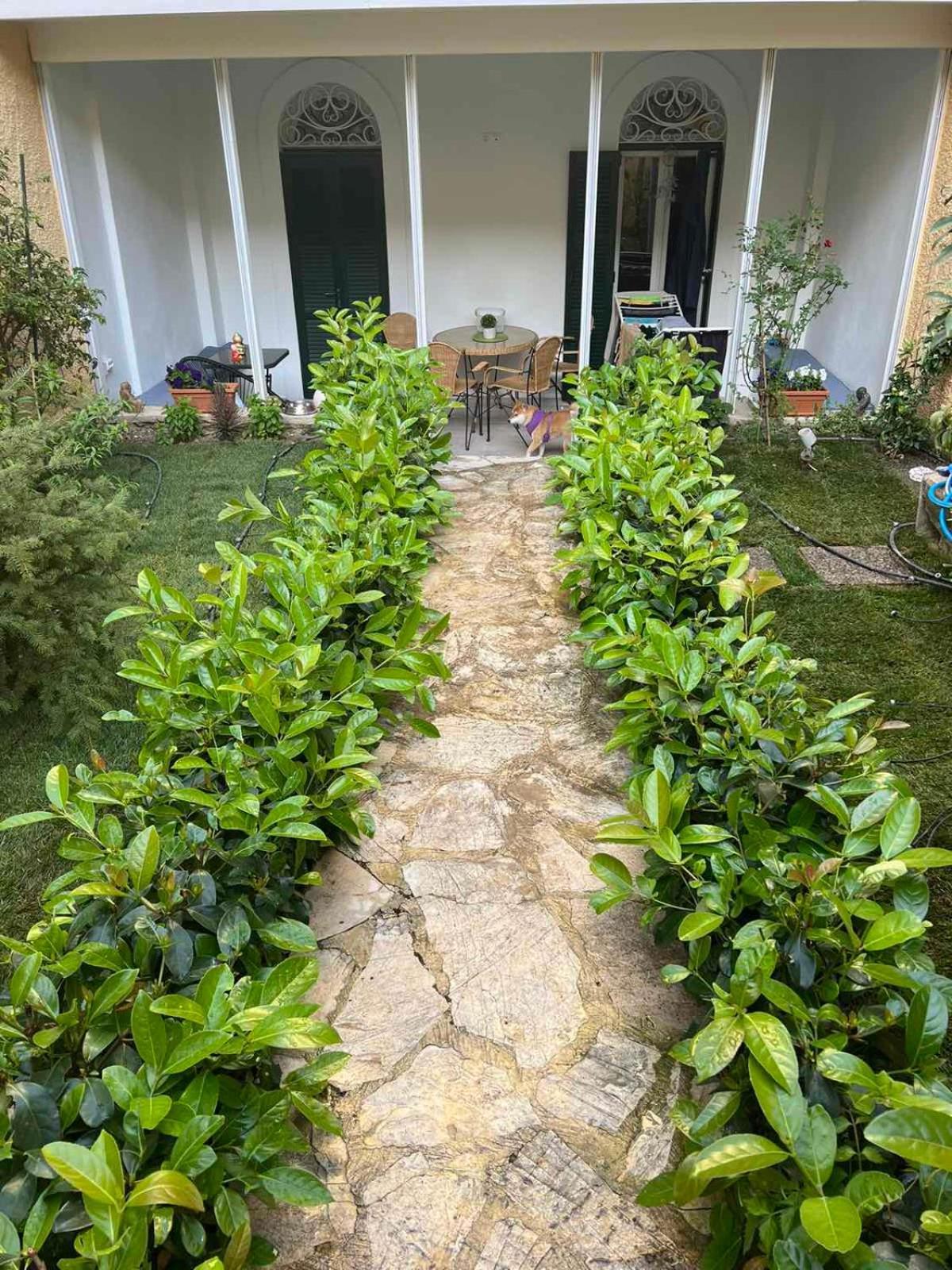Apartmán Τhe Hidden Garden Corfu  Exteriér fotografie